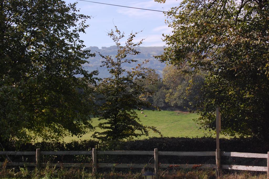 Llansabbath Country House B&B Abergavenny Exterior photo