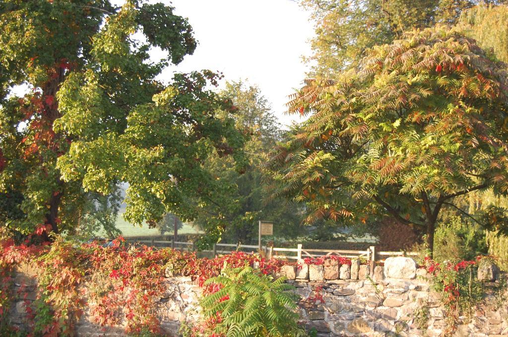 Llansabbath Country House B&B Abergavenny Exterior photo